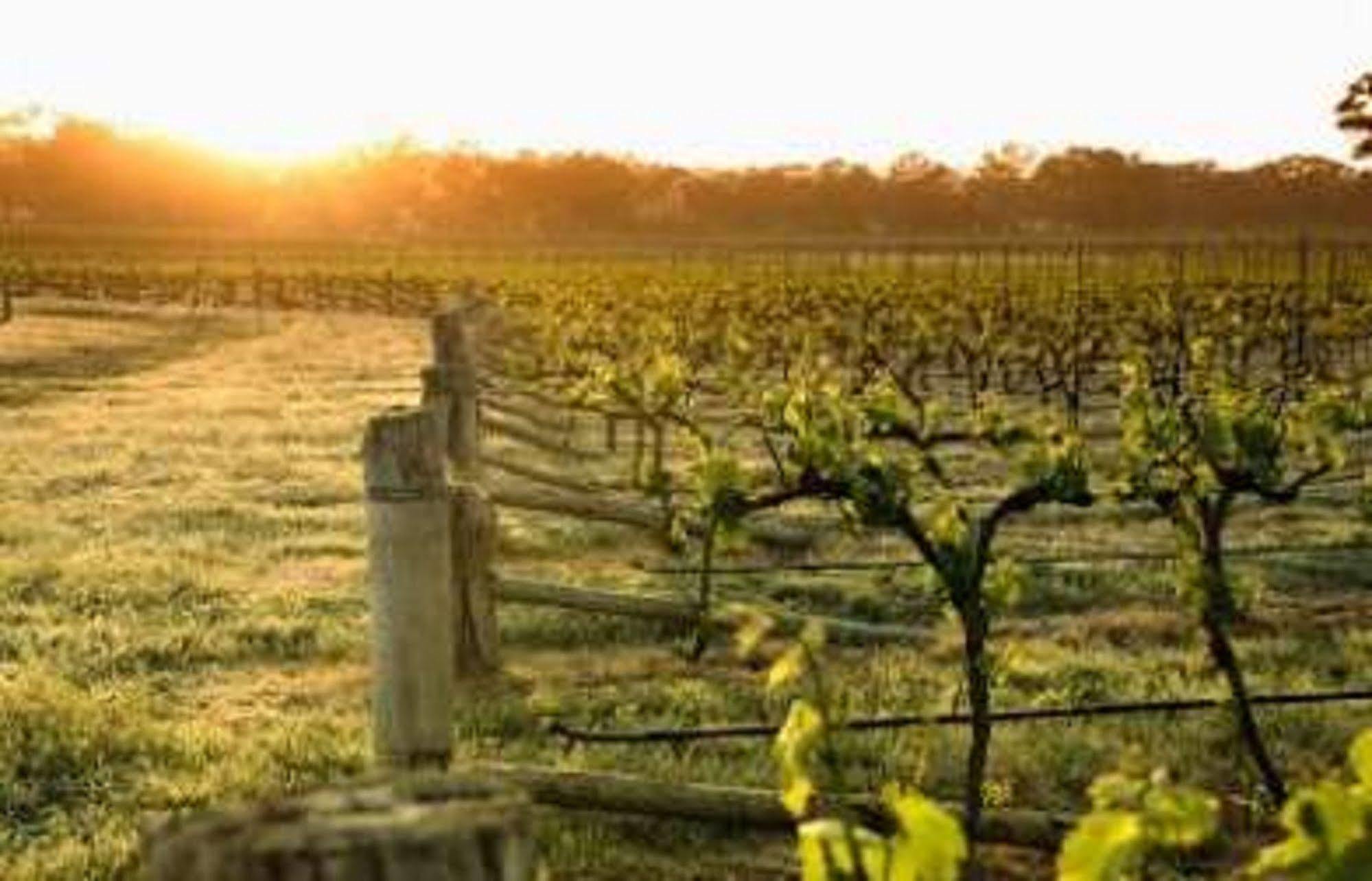 Balgownie Estate Bendigo Bed & Breakfast Ngoại thất bức ảnh